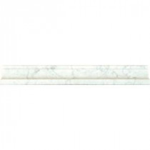 Carrara White 2 in. x 12 in. Polished Marble Cornice Molding Wall Tile