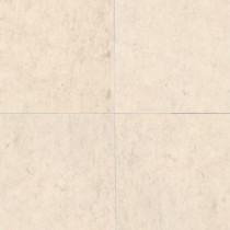 Euro Beige 18 in. x 18 in. Natural Stone Floor and Wall Tile (11.25 sq. ft. / case)