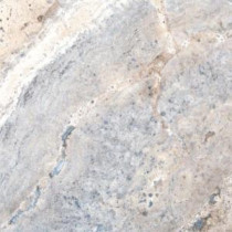 Silver 12 in. x 12 in. Honed Travertine Floor and Wall Tile (10 sq. ft. / case)