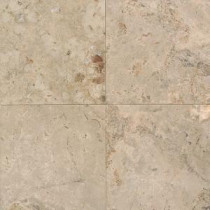 Napolina 18 in. x 18 in. Natural Stone Floor and Wall Tile (15.75 sq. ft. / case)