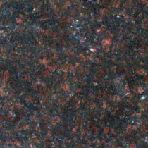 Victorian Brown 12 in. x 12 in. Polished Granite Floor and Wall Tile (10 sq. ft. / case)
