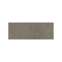 City View Downtown Nite 3 in. x 12 in. Porcelain Bullnose Floor and Wall Tile