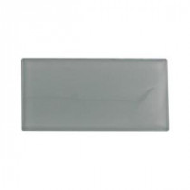 Contempo Seafoam Polished Glass Tile - 3 in. x 6 in. x 8 mm Tile Sample