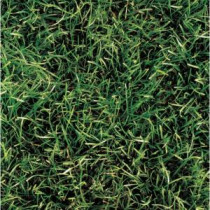 Grass Series 8 in. x 8 in. Standard Finish Ceramic Floor and Wall Tile (7.1 sq. ft. / case)