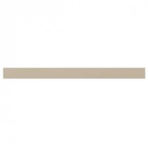 Identity Gloss Cashmere Gray 5/8 in. x 10 in. Ceramic Accent Wall Tile