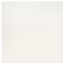 Matte Arctic White 6 in. x 6 in. Ceramic Surface Bullnose Wall Tile