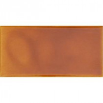 Hand-Painted Tangerine Orange 3 in. x 6 in. Glazed Ceramic Wall Tile (1.25 sq. ft. / case)