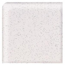 Semi-Gloss Pepper White 4-1/4 in. x 4-1/4 in. Ceramic Bullnose Corner Wall Tile