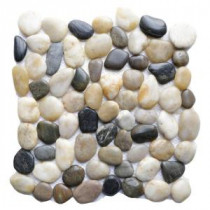 Multi 12 in. x 12 in. Natural Pebble Stone Floor and Wall Tile (10 sq. ft. / case)