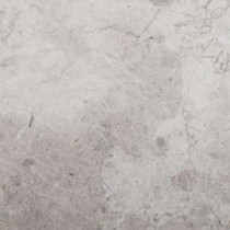 Silver 18 in. x 18 in. Marble Floor and Wall Tile