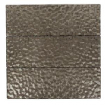 Gemini Chromium Polished Glass Mosaic Wall Tile - 4 in. x 6 in. Tile Sample