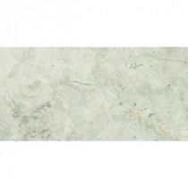 Tundra Gray 3 in. x 6 in. Polished Marble Floor and Wall Tile (5 sq. ft. / case)