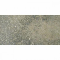 Terra Bengal Slate 12 in. x 6 in. Porcelain Floor and Wall Tile (9.69 sq. ft. / case)