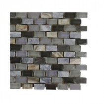Paradox Cryptic 3 in. x 6 in. x 8 mm Mixed Materials Mosaic Floor and Wall Tile Sample