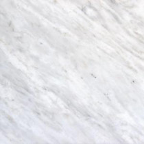 Greecian White 12 in. x 12 in. Polished Marble Floor and Wall Tile (5 sq. ft. / case)