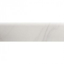 Carrara Blanco 3 in. x 12 in. Ceramic Surface Bullnose Floor Tile