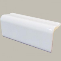 Color Collection Bright White Ice 2 in. x 6 in. Ceramic Sink Rail Wall Tile (.1838 sq.ft./ piece)