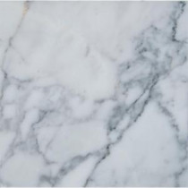 Statuary Venato 12 in. x 12 in. Polished Marble Floor and Wall Tile (10 sq. ft. / case)