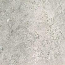 Tundra Gray 18 in. x 18 in. Polished Marble Floor and Wall Tile (9 sq. ft. / case)