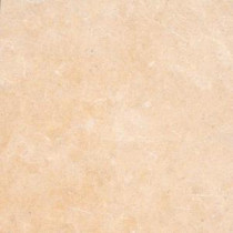 Princess Gold 16 in. x 16 in. Honed Limestone Floor and Wall Tile (8.9 sq. ft. / case)